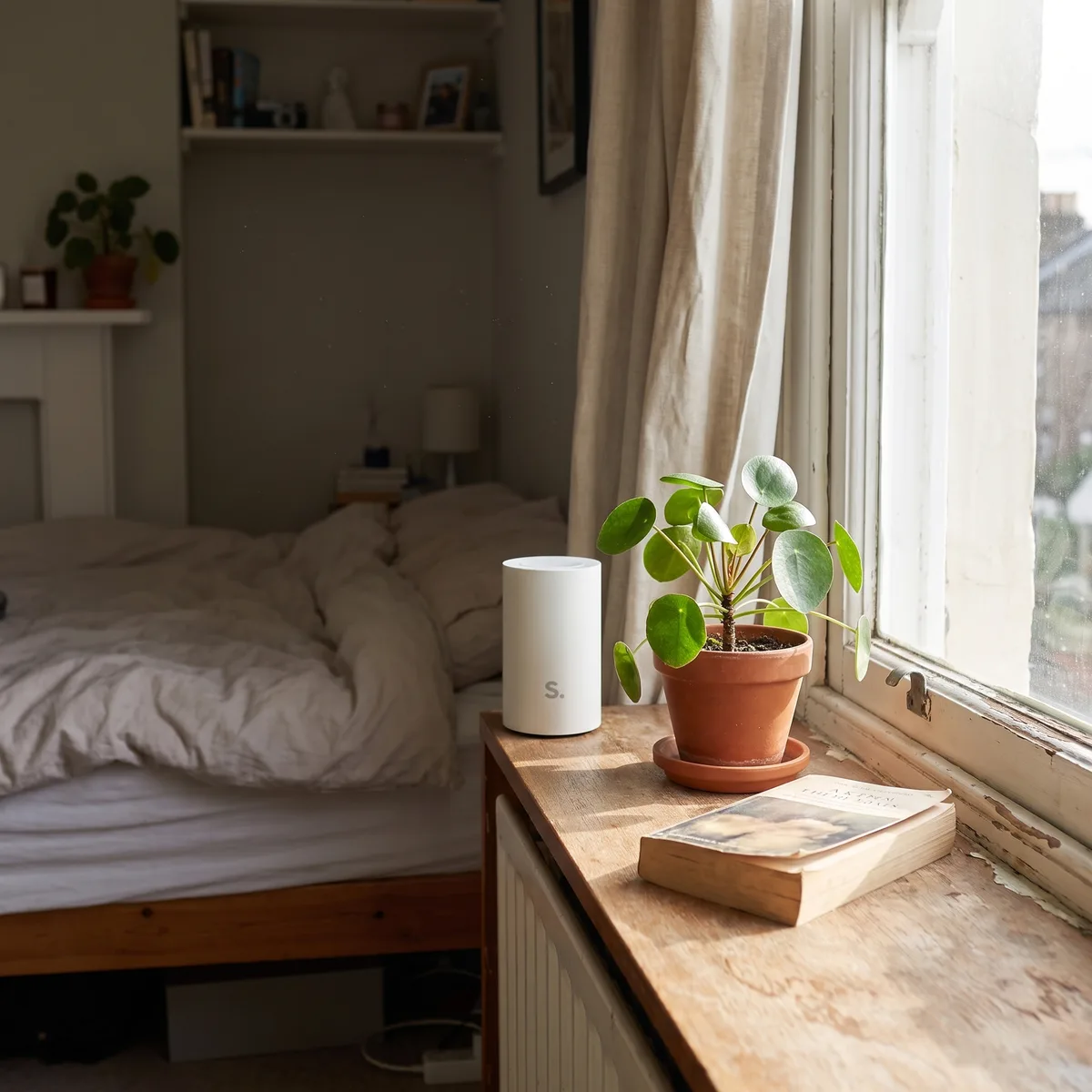 The Halo on a windowsill in a rented flat bedroom